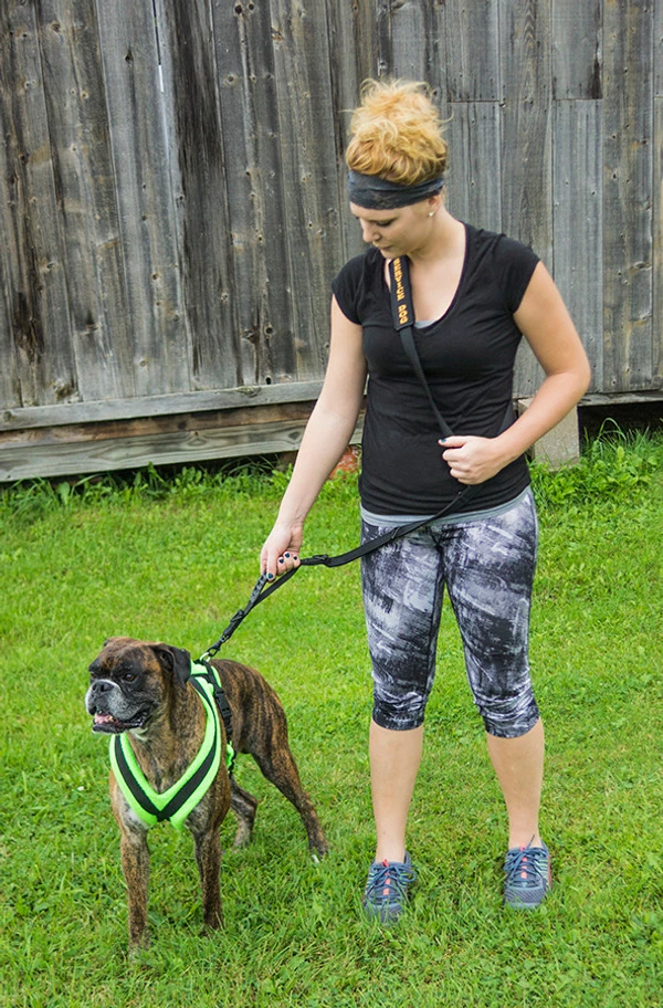 Service Dog Hands Free Leash - W/ Molded Handle - Image 8