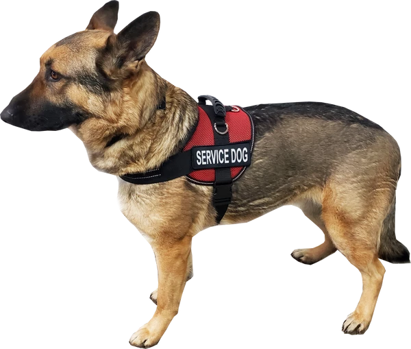 Service Dog Mesh Or Padded Air-Tech Vest - Image 8