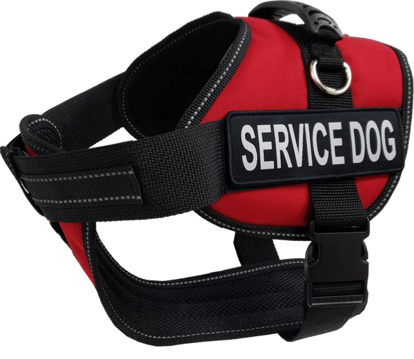 Service Dog Starter Kit - Padded Air-Tech Service Dog Harness Vest + Clip-on Bridge Handle & More - Image 15