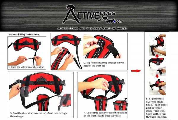 Service Dog Starter Kit - Padded Air-Tech Service Dog Harness Vest + Clip-on Bridge Handle & More - Image 20