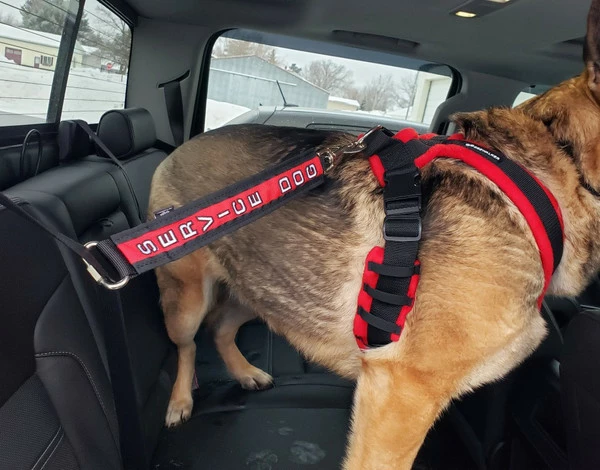 Service Dog Seat Belt Connector - Image 8