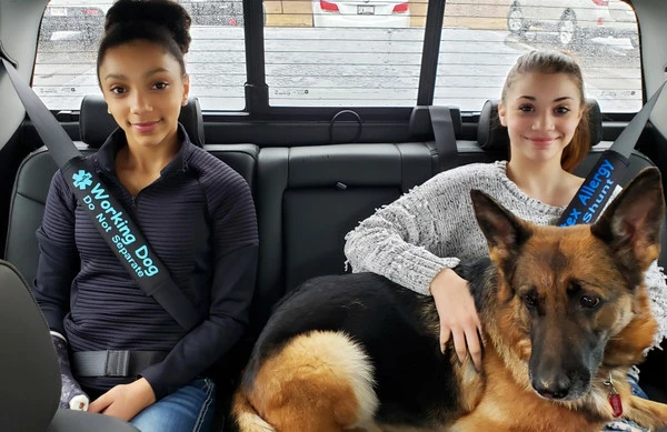 Custom Text Medical Alert Padded Seat Belt Cover - Image 6