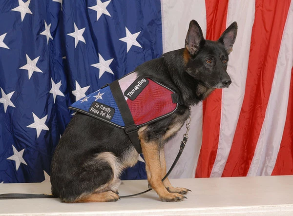 Patriotic Mesh Service Dog Vest - Image 5