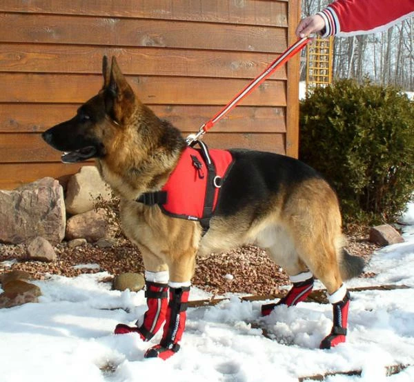 Ultimate Dog Boots (Set Of 2) - Image 5