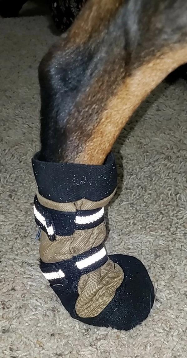 Non Slip Reflective Dog Boots (set Of 2) - Image 11