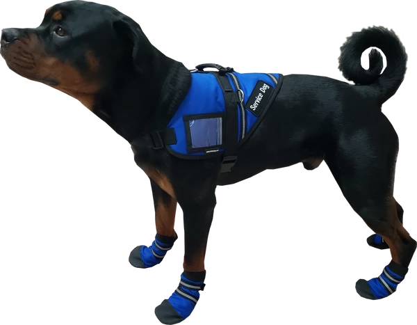 Non Slip Reflective Dog Boots (set Of 2) - Image 2