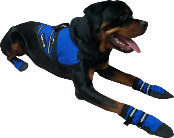 Non Slip Reflective Dog Boots (set Of 2) - Image 7