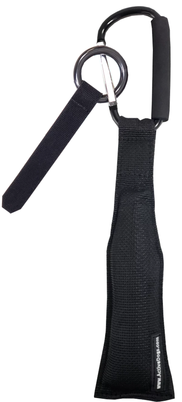 Open Task Training Carabiner