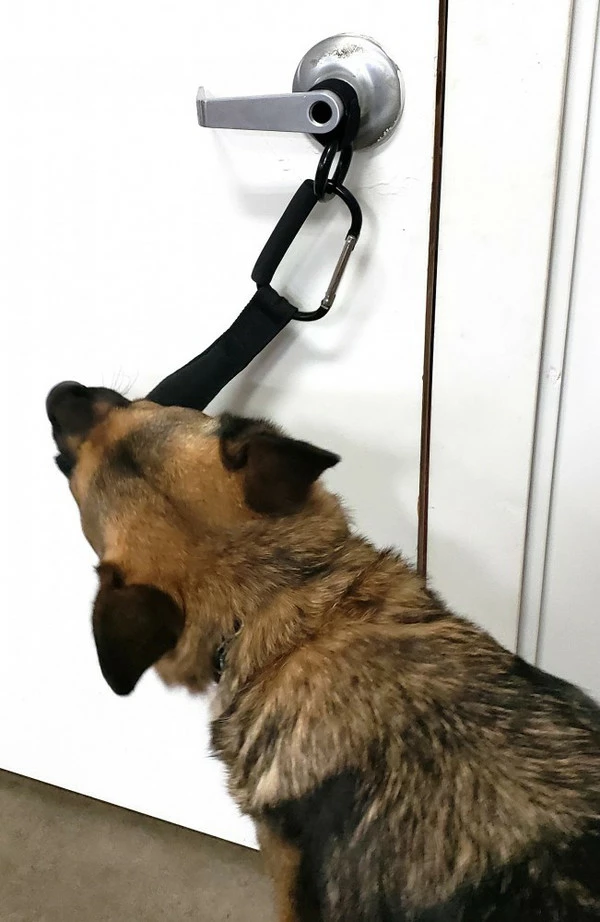 Open Task Training Carabiner - Image 3