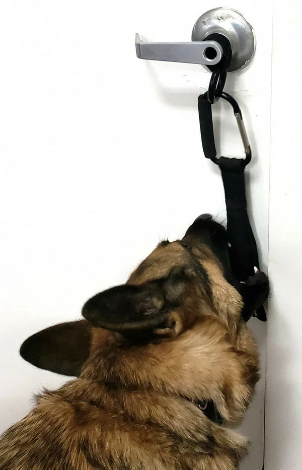 Open Task Training Carabiner - Image 4