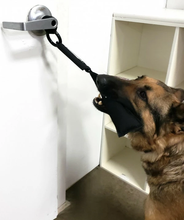 Open Task Training Carabiner - Image 5