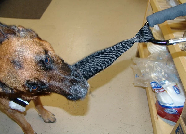 Open Task Training Carabiner - Image 13