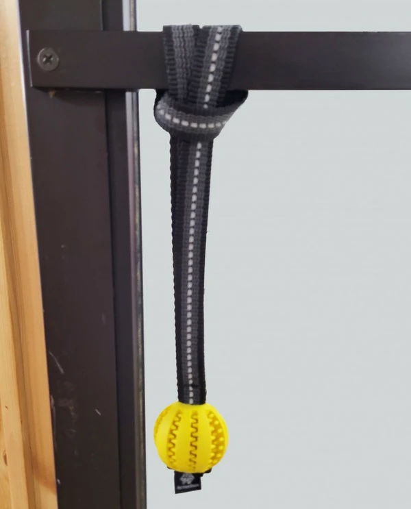 Open Command Training Ball - Image 12