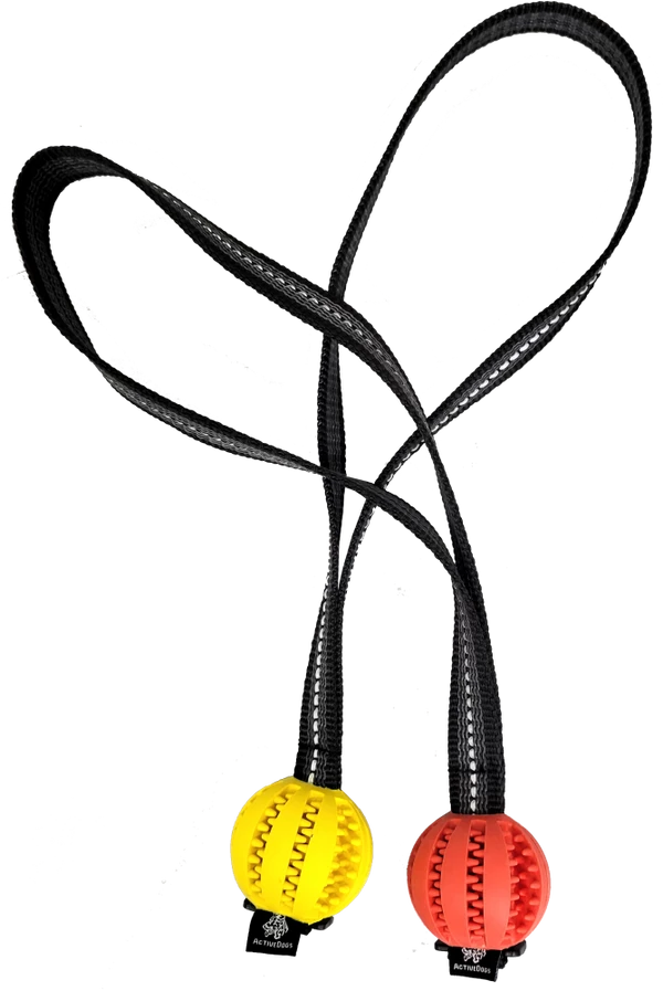 Open Command Training Ball