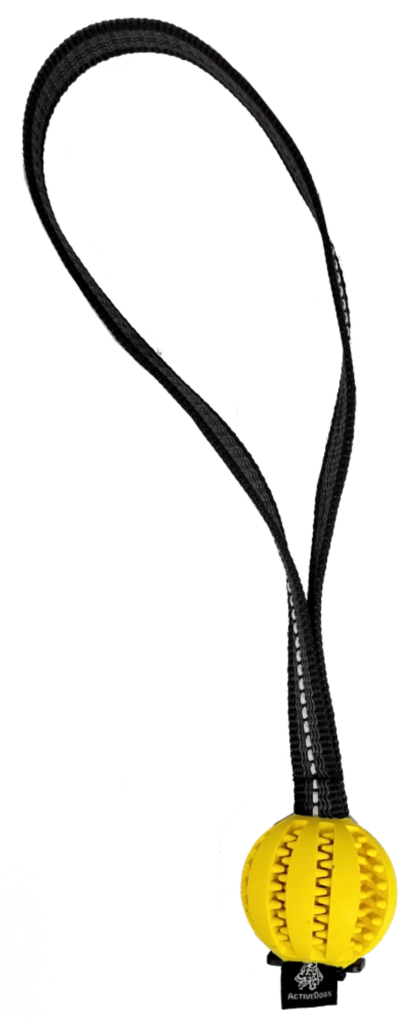 Open Command Training Ball - Image 2