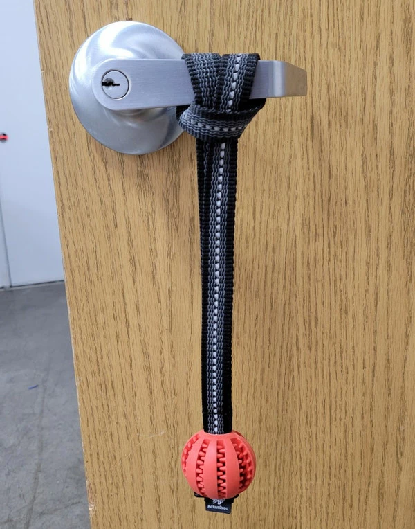 Open Command Training Ball - Image 4