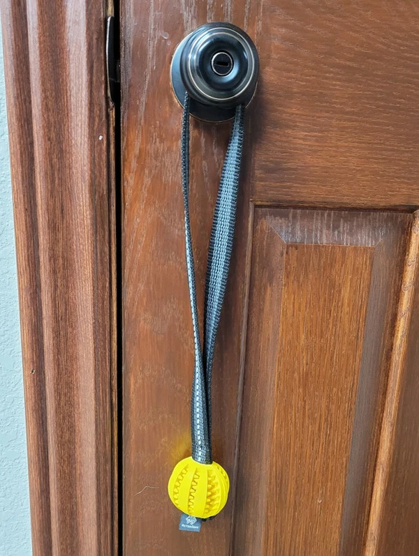 Open Command Training Ball - Image 6