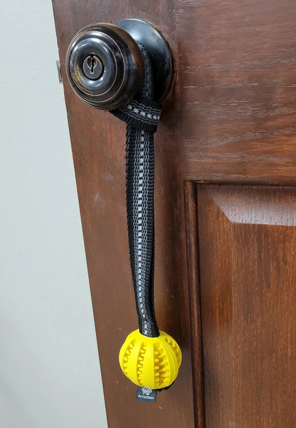 Open Command Training Ball - Image 7