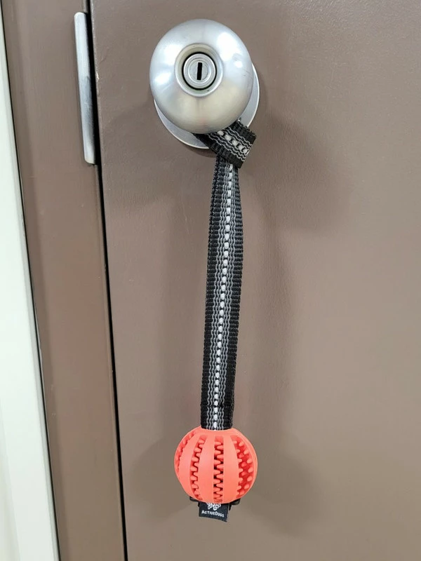 Open Command Training Ball - Image 9