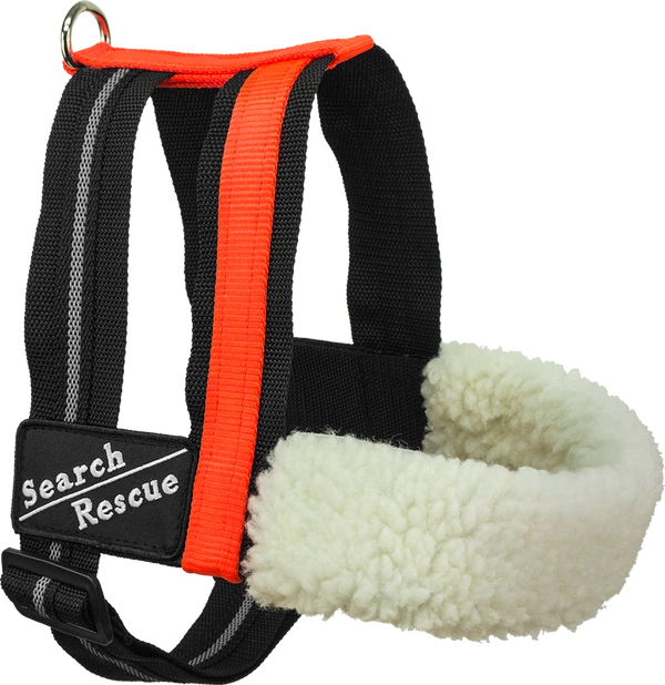 Search & Rescue Harness