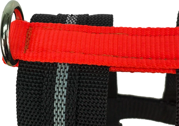 Search & Rescue Harness - Image 3