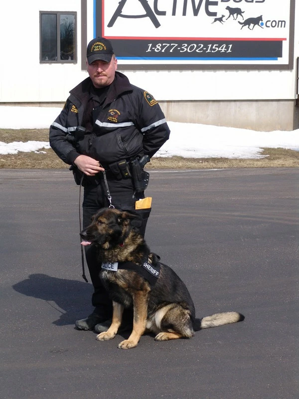 Nylon Patrol K9 Harness W/ GT Buckle - Image 2