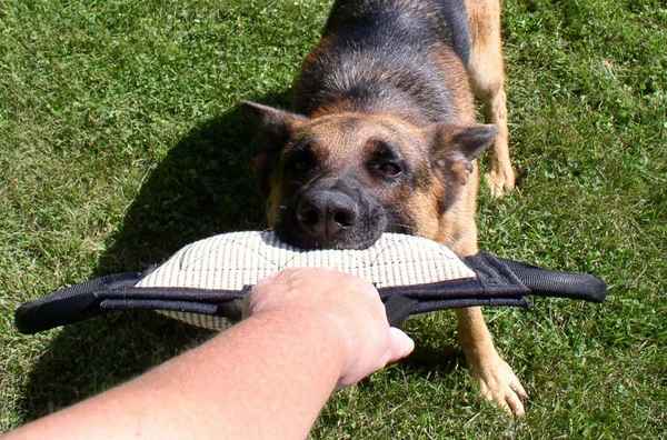 Jute Bite Pillows - Image 4