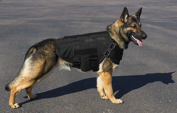 CaliberDog K9 Tactical Ballistic Vest Level III-A - Image 6