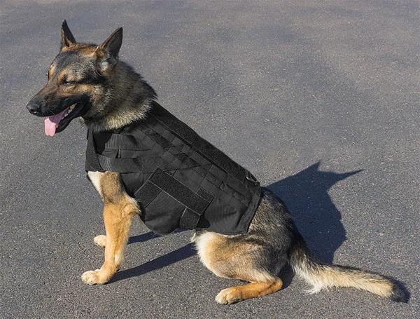 CaliberDog K9 Tactical Ballistic Vest Level III-A - Image 4