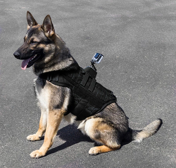 CaliberDog MOLLE Raised Camera Back Mount - Image 3