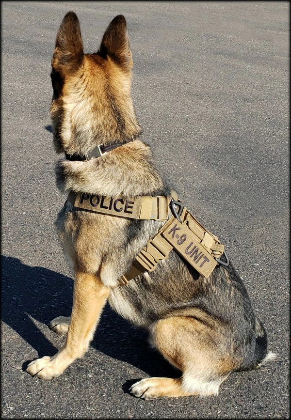 CaliberDog K9 Tactical Harness - Image 4