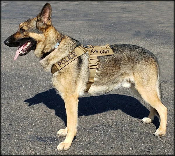 CaliberDog K9 Tactical Harness - Image 8