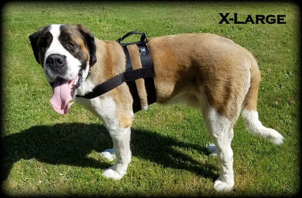 CaliberDog Patrol Double Girth Harness - Image 2