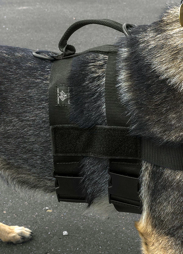 CaliberDog Patrol Double Girth Harness - Image 5