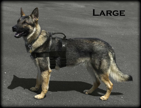 CaliberDog Patrol Double Girth Harness - Image 3