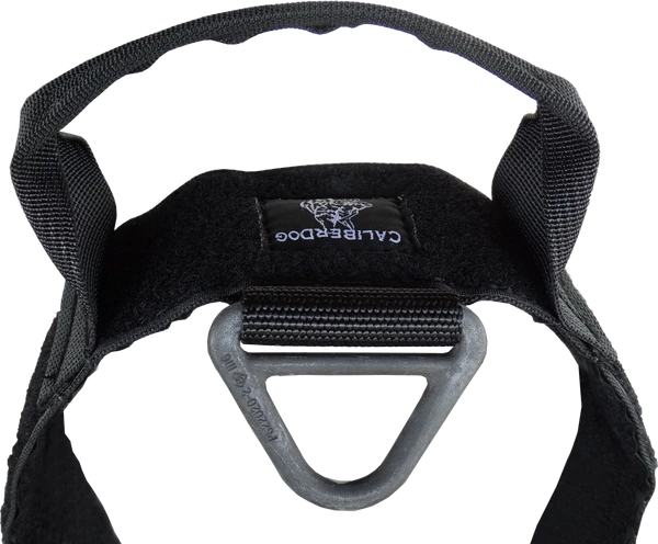 CaliberDog ID Collar With Cobra Buckle & Handle - Image 10