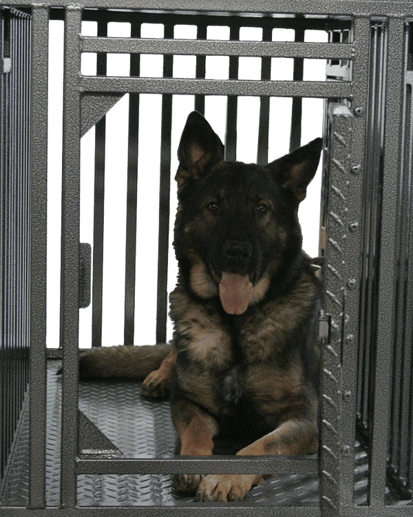 Powder Coated Double Door (Front/Side) Full Vent Dog Crate - Image 2