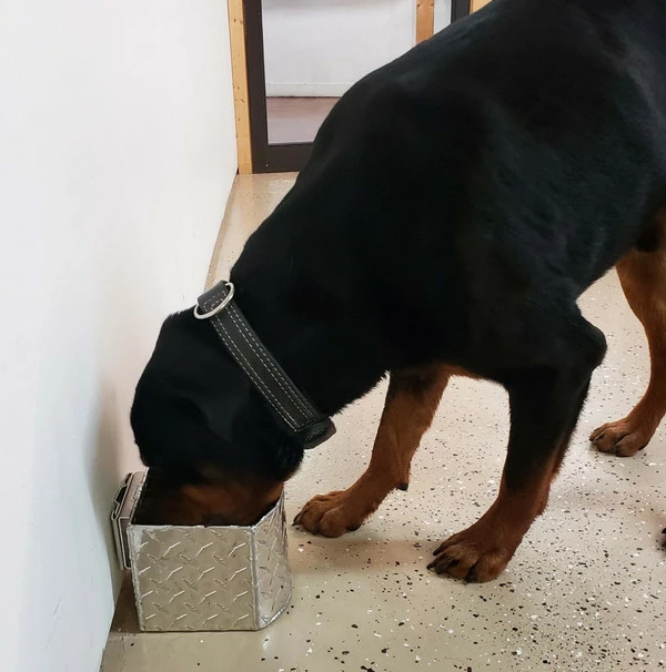 Aluminum Spill Proof Dog Bowls - Image 20