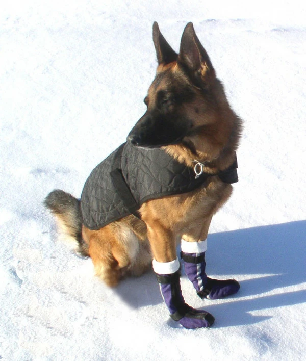 Ultimate Dog Boots (Set Of 2) - Image 3