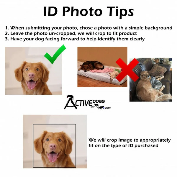ActiveDogs Registered Service Dog 3 Key Tag Cards + Free Digital Copy - Image 9
