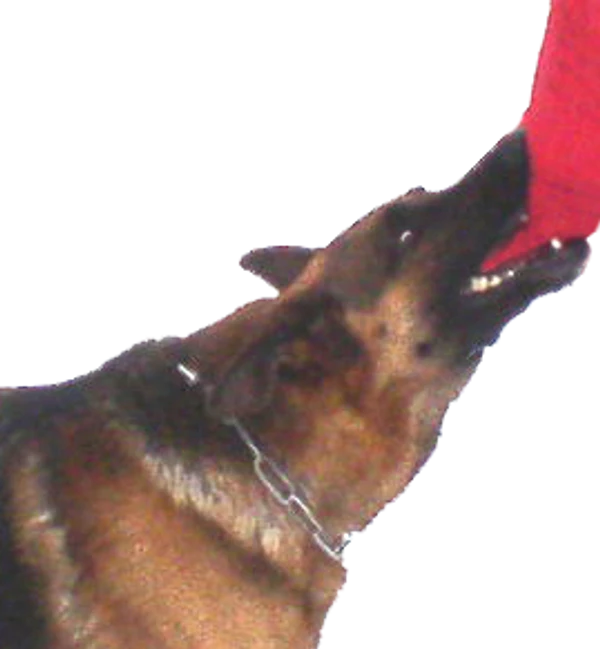 Bite Suite Synthetic Bite Wedge - Image 3