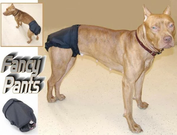 Set Of 3 Fancy Pants Diapers - Image 7