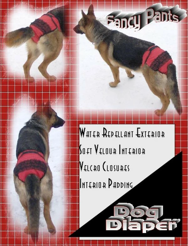 Set Of 3 Fancy Pants Diapers - Image 8