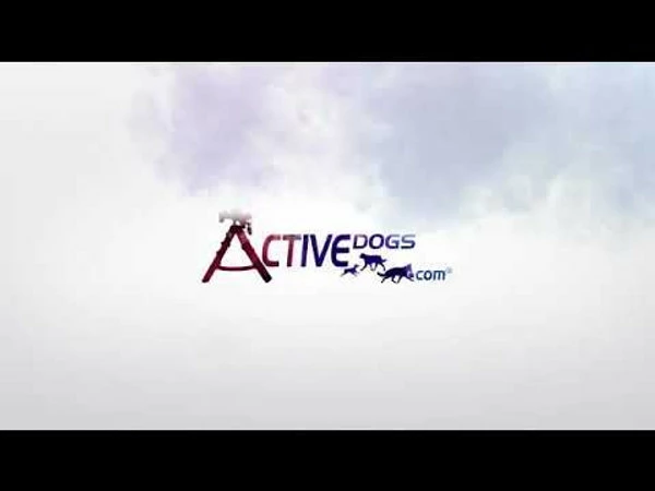 The Best Ever Dog Pooper Scooper Waste Removal Tool - Image 5