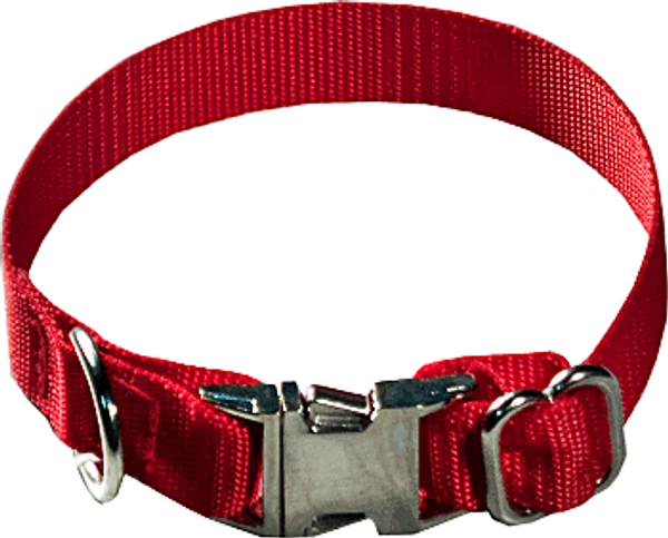 Nylon Dog Collars - 1"