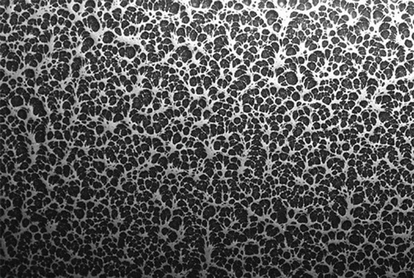 Powder Coated Full Vent Dog Crate - Image 4