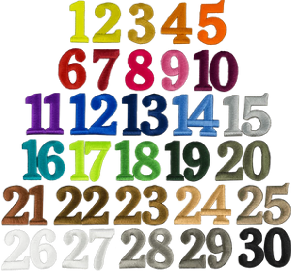 Custom Logo S&R Style Vest - Image 4